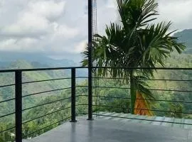 Aloft View