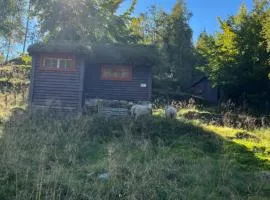 Tradisjonell norsk hytte i vakre Rasdalen