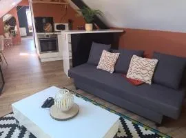 Appartement de 50m cosy et bien aménagé