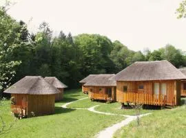 Glamping Bionic healing village
