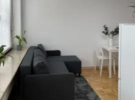 2-room apartment in Hamburg