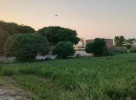 Traditional Village Farm Stay Nature & Peace in desi food