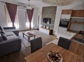 Apartman Mila lux Vrnjačka Banja