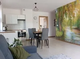 Wczasy Chmielno Apartament Oliwkowy