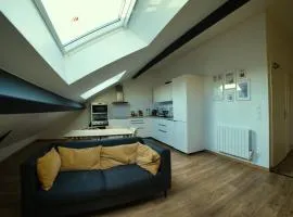 Chambres 18m2, SDB PV, Centre, WIFI, Appart 100m2