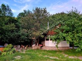 Biniște -Tiny House by the river