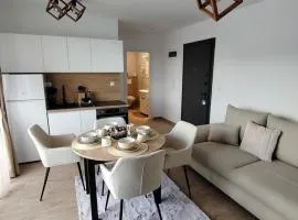 Apartman 84 Obradovic