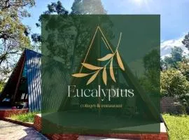 Eucalyptus Cottages