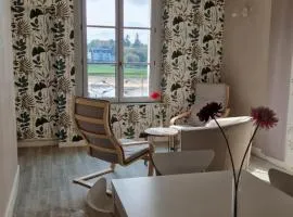 Vaste appartement avec vue sur la Vienne