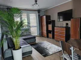 Apartament Raven