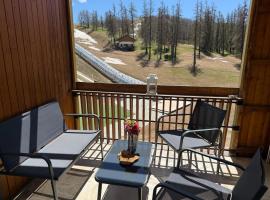 Christiana studios en hyper centre de Valberg aux pieds des pistes, hotel di Valberg