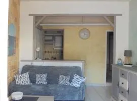 Villeneuve Loubet Studio 4 p rez de jardin a 5 mn de la mer