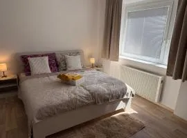 Apartmán Danimo