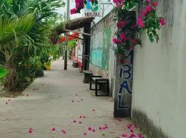 Hostel Ximbal