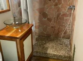 Chambre simple coloc tropicale