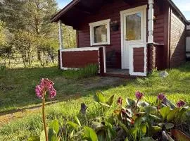 Cozy Camping Cabin