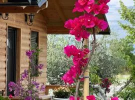 Guest House Dimal Berat