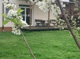 Pilaites svetingi namai