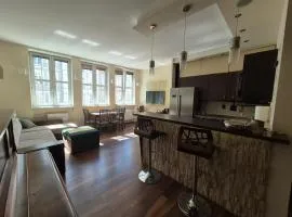 Spirit of Gdansk Apartment