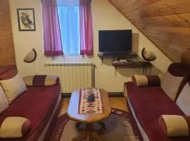 Vasilije Apartment