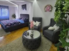 Revolution Star Apartman