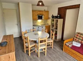 Appartement 2 pièces, balcon sud, pieds de pistes, animaux admis - FR-1-811-40