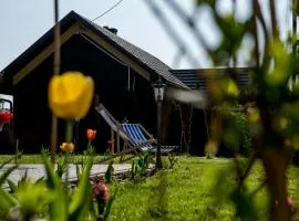 Stara Stolarnia Noclegi