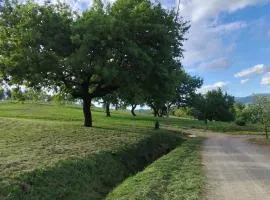Agriturismo Campo alla Cantina appartamento Ginestra