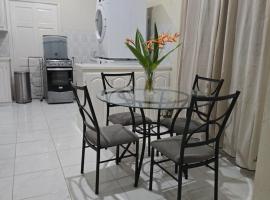 Comfy, spacious apartment near the beach, hotel v destinaci Saint Joseph