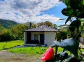 Guest house "Soulmate"
