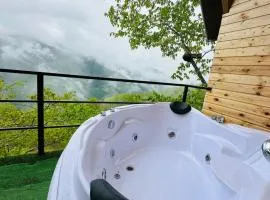 cottage panorama merisi