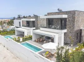 Apoikia Luxury Living Villa Pefkochori