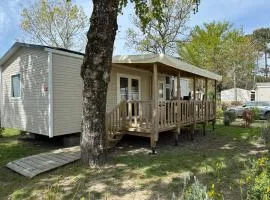 Un toit sur le bassin Bungalow solaire