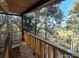 Cabañas en el Bosque de San José del Pacífico 5