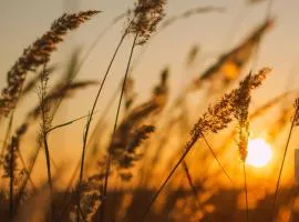 B&B du Marais, une chambre d'hôtes pour une pause nature au bord de notre canal, à 2km de Marennes sur le tracé de la Vélodyssée