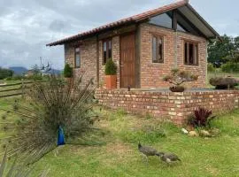 Cabaña lagovilla