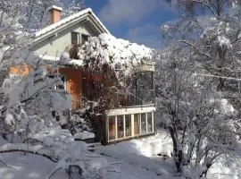 Waldbaden am Blauen