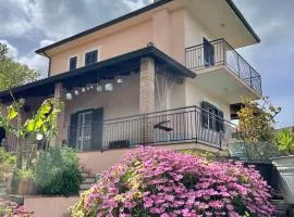 Pink House