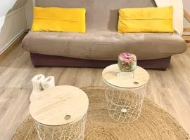 Très Agreable Logement à Aubusson hypercentre, parking gratuit à proximité