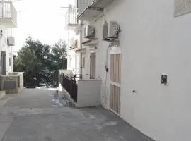 La stella sul porto