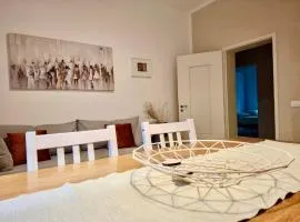 Apartment near hospital and university