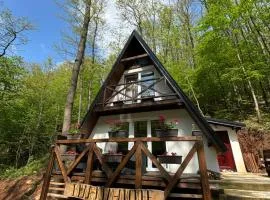 Planinska vila KTM Lisine