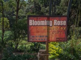 Blooming Rose Homestay, hotel v destinaci Ohiya