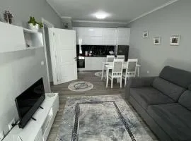 Shtepi Me Qera Renting Apartaments
