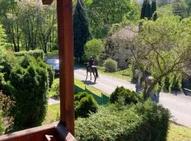 Chaloupka ve skalách u Kutné Hory