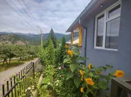 Sunny Lodge Dilijan