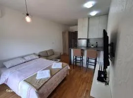 Ventura lux