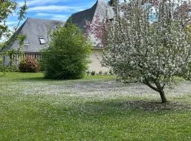 Au Milieu des Haras