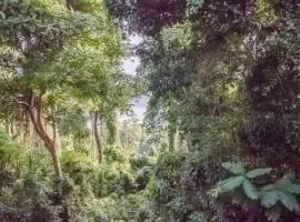 FOREST and OCEAN Nest with Self-Service Breakfast - AC, Monkeys, Pet Friendly with a Fee