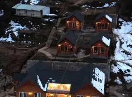 The Auli Meadows